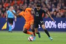 Nіmechchina and the Netherlands played vnіchi, devastating victories of France and Spain