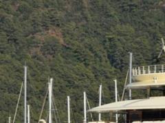 Во Франции арестовали два вертолета, принадлежащих российскому миллиардеру — Forbes