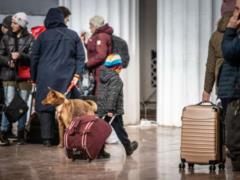 Ukraine launches employment program for IDPs