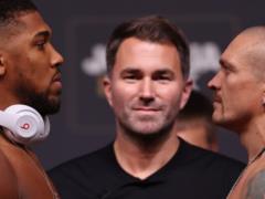 “Fight for his country”: a famous boxer estimated Usyk’s chances in a rematch with Joshua
