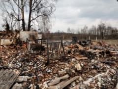 Компенсация за войну средствами РФ: в Правительстве рассматривают идею ежемесячных денежных выплат украинцам и бизнесу