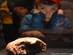 Putin continues to spin the global food crisis