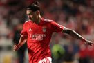 Benfica coach: I suspect that the club to sell Nunez is so expensive, like Felisha