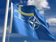 Sweden plans to apply for NATO membership this summer. Premier Anderson refused to confirm this