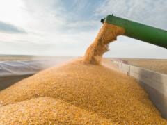 Ukraine has stocks of basic food for several years