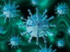 Ученые нашли новое средство для борьбы с коронавирусом