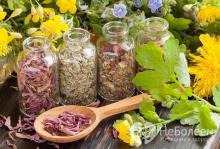 Herbal medicine: useful tips