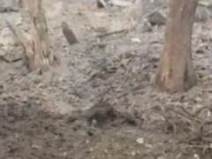 В Ирпене обезврежена сверхмощная авиабомба