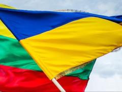 Литва передала Украине тяжелые минометы