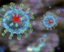 Viruses may play a role in Crohn s disease and UC
