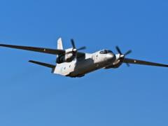 В Запорожской области упал самолет АН-26