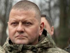 Zaluzny addressed bloggers: Do not become a tool in the hands of the enemy