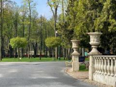 В ближайшие сутки в Украине ожидается дождливая погода