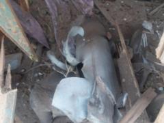 The occupiers hit New York in the Donetsk region, three civilians were killed (photo 18+)