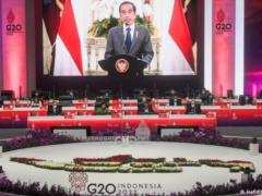 Putin and Zelensky invited to G20 summit