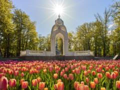 The first days of May in Ukraine will be relatively warm