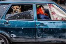 War, day 67. The fascists were lucky enough to evacuate the peaceful population from Mariupol