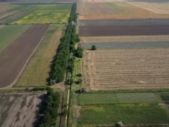 В Запорожской области оккупанты заставляют фермеров продавать зерно в РФ