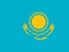 The Ministry of Defense of Kazakhstan stated that they did not plan to send their troops to Ukraine within the framework of the 