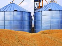 Russian military removed up to 400,000 tons of grain from temporarily occupied territories of Ukraine – Ministry of Agrarian Pol