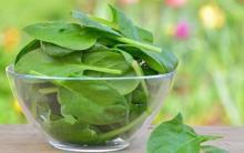 Korisnі power of spinach, about yakі you might not know