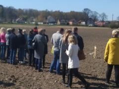 In the Russian Federation, the car plant allocated plots for vegetable gardens to employees