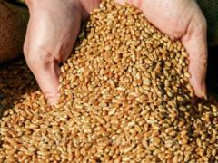 Russia blocks record grain cargo for Europe in Ukrainian ports