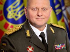 Zelensky awarded Zaluzhny and four other military men with the Combat Merit Cross