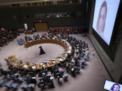 The UN Security Council  