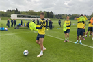 Borussia M - Ukraine: marvel at the friendly match