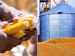Biden announced record exports of agricultural products