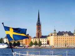 Sweden may apply to join NATO on May 16 - media