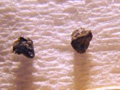 Rock from Egypt is the first evidence of a supernova explosion found on Earth