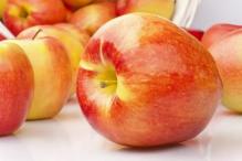 Dried apples are not less brown, less fresh