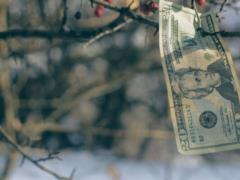 Експерти обіцяють стабілізацію курсу гривні через 10-12 днів, але не йдеться про зменшення
