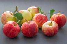 Doctors are not happy to live an apple in the other half of the day