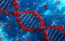 Scientists create nanoparticles to fight melanoma