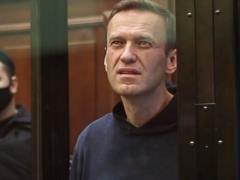 Navalny spoke at the appeal against the court s verdict:  