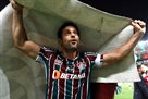 Ex-Forward of Selected Brazil Fred finished his career