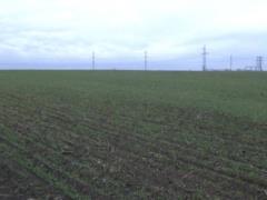 Russian military trucks transport crops from the occupied territories of the Kharkiv region