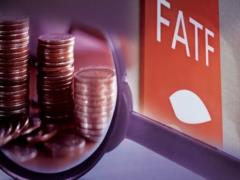 FATF has removed Russia from influence on decision-making and is considering putting the Russian Federation on the  