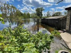 Fifty houses still flooded in Demidov near Kyiv