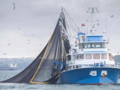 Біля берегів Криму ВМС РФ затримали турецьких рибалок