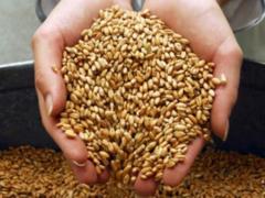 Macron hopes to persuade Russia to unblock Ukrainian grain exports