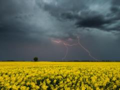 Thunderstorms will pass in Ukraine, hail in some areas