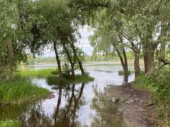 В Україні очікується тепла погода з короткочасними дощами та грозами