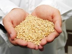 Russia is directly responsible for any deficits in the grain trade - Borrell