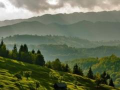 The coming days in Ukraine will be warm, it will rain in the west