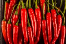 Measles and Skoda chili pepper for health