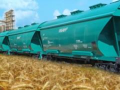Россияне поездами вывозят зерно из Запорожской области